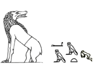Ammut