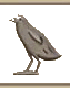 W / U