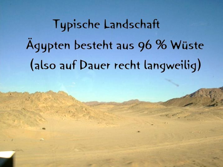 Busfahrt