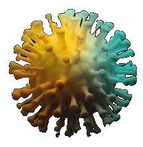 Corona